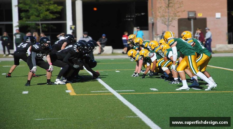 芒果体育-最权威热门的全球体育赛事直播平台坚韧不拔，夺取荣耀！